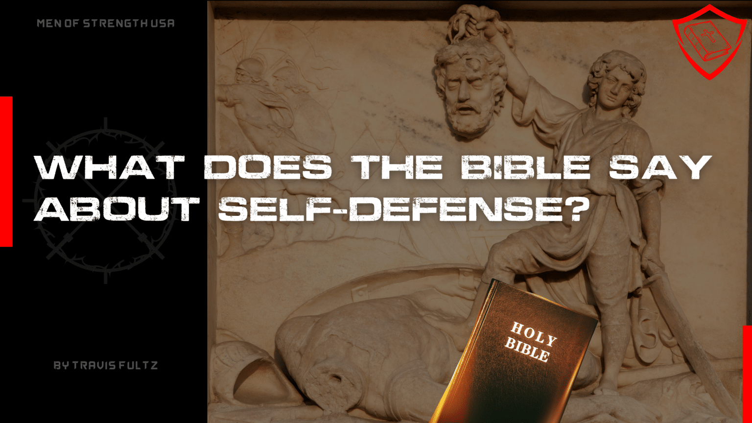 What Does the Bible Say About Self Defense?: Righteous or Sin? - Men of ...