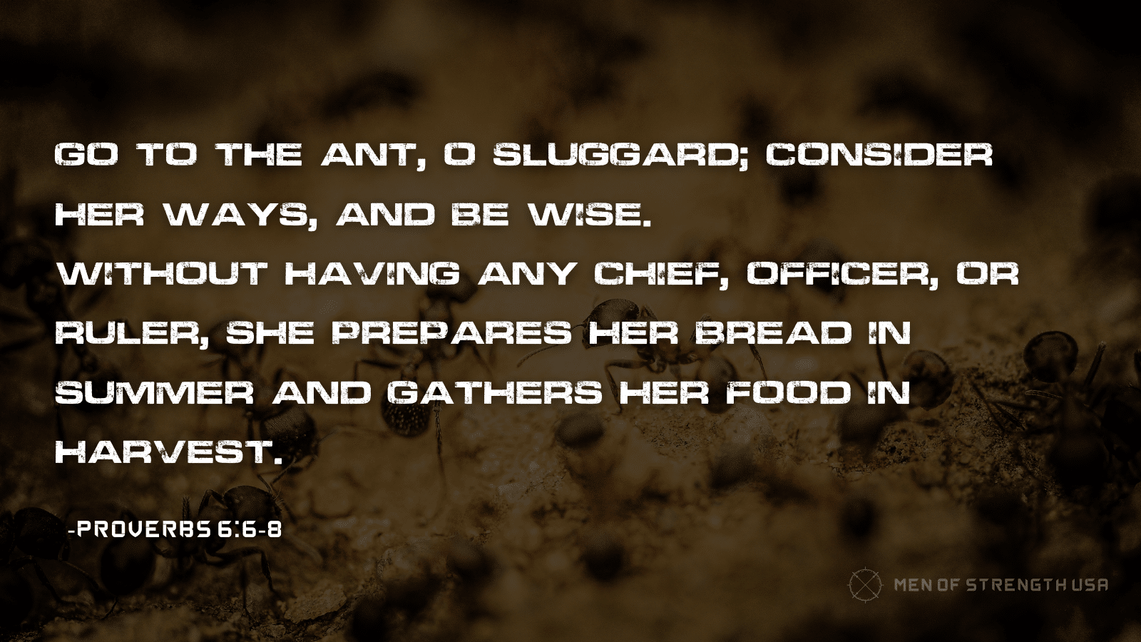 what does the bible say about prepping?